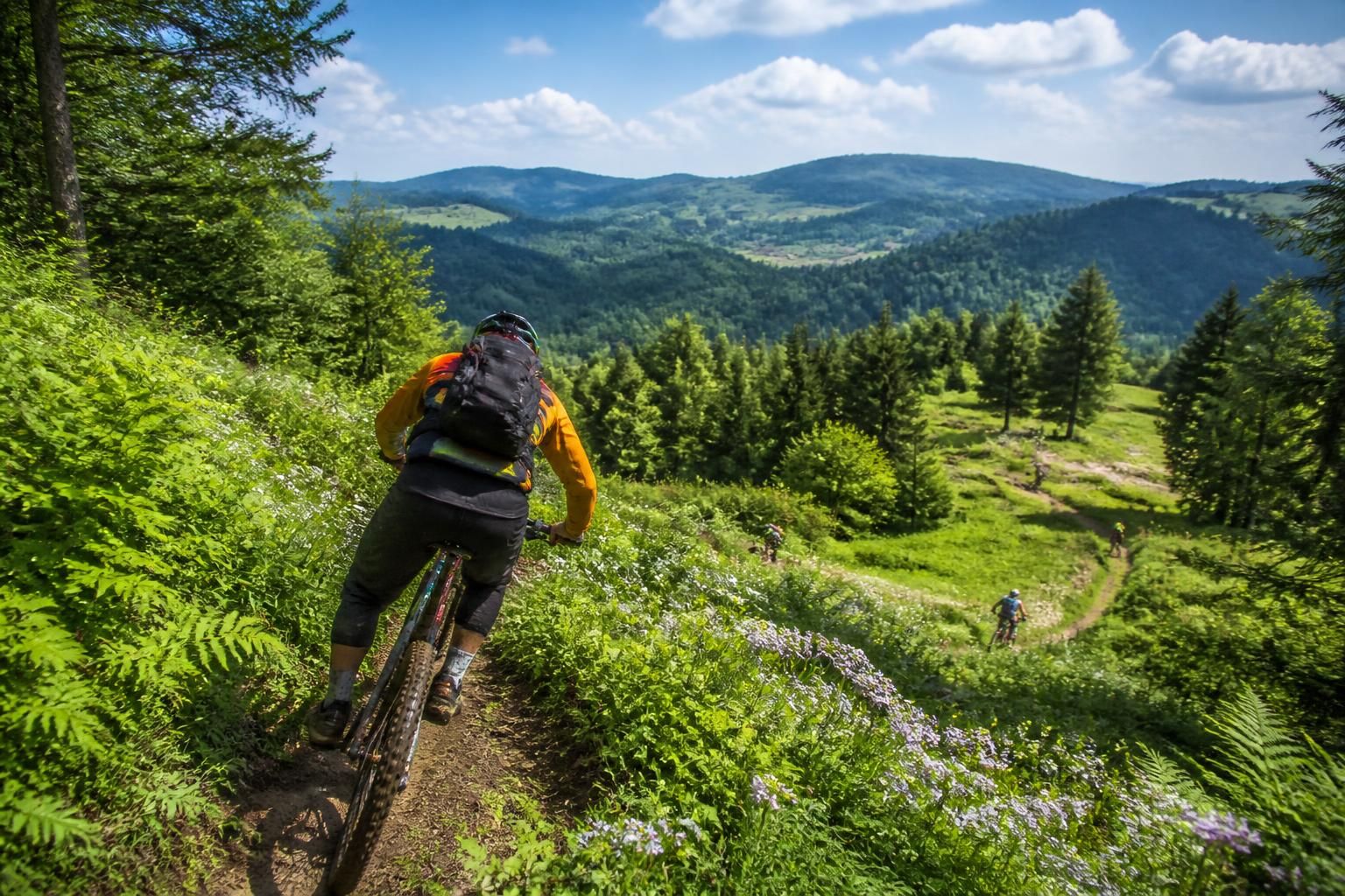 découvrez notre guide complet des sorties vtt dans le jura avec un calendrier détaillé des randonnées incontournables pour tous les niveaux.